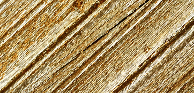 免洗手消毒液備案檢測報(bào)告費(fèi)用