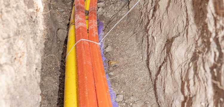 春雷霉素水劑檢測(cè)