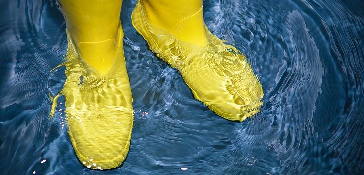 食品酸含量檢測(cè)