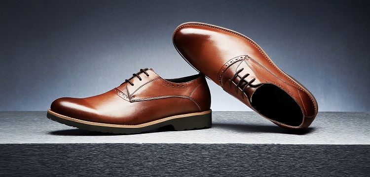 真核表達質(zhì)粒構建服務