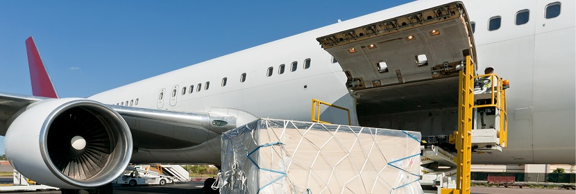 有機(jī)黃瓜檢測